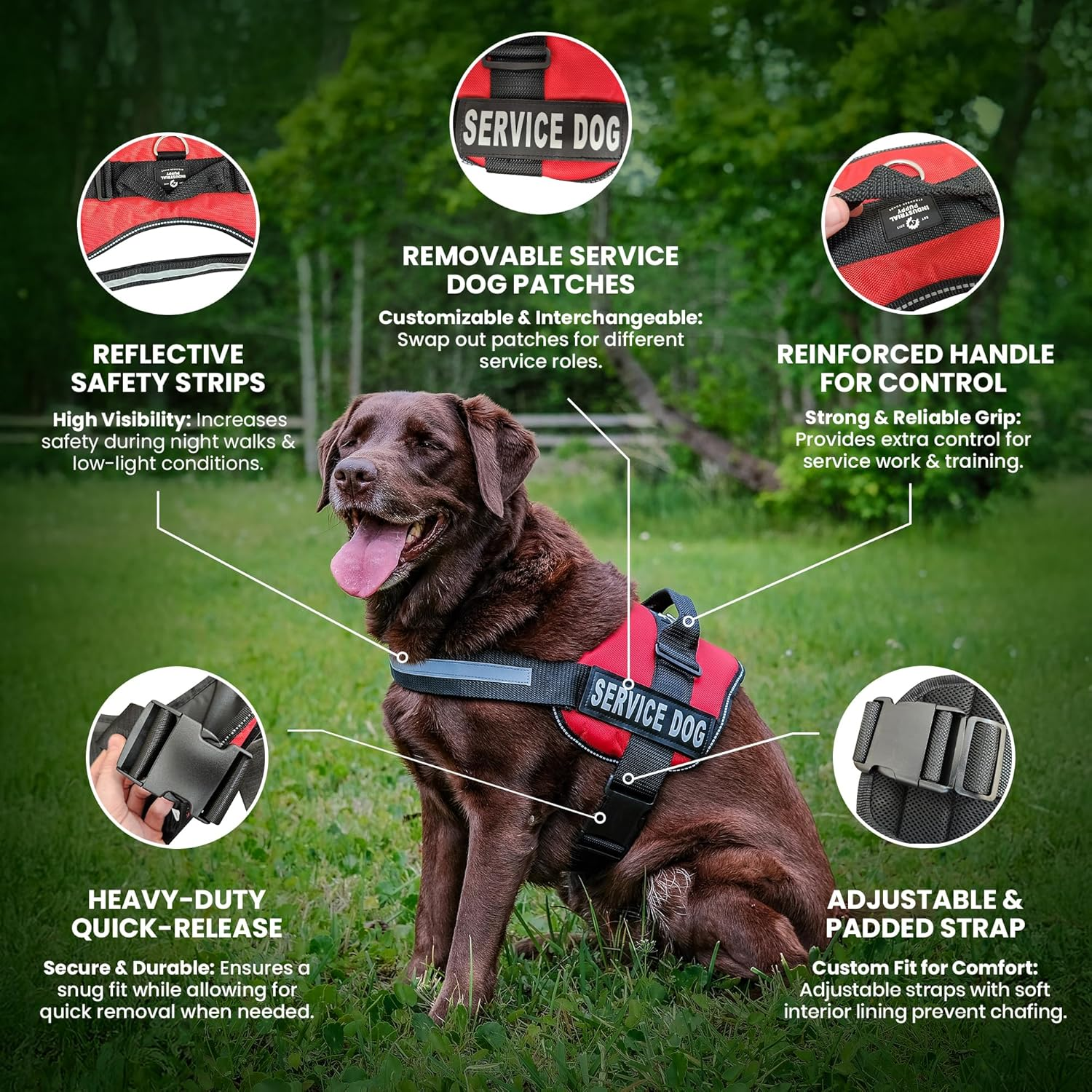 Service Dog in Training Vest Harness - Durable & Adjustable Dog Vest with Reflective Straps, Removable Patches, Handle & D-Ring, Travel and Daily Use, Small 19.5"-25", Bright Red - Image 2