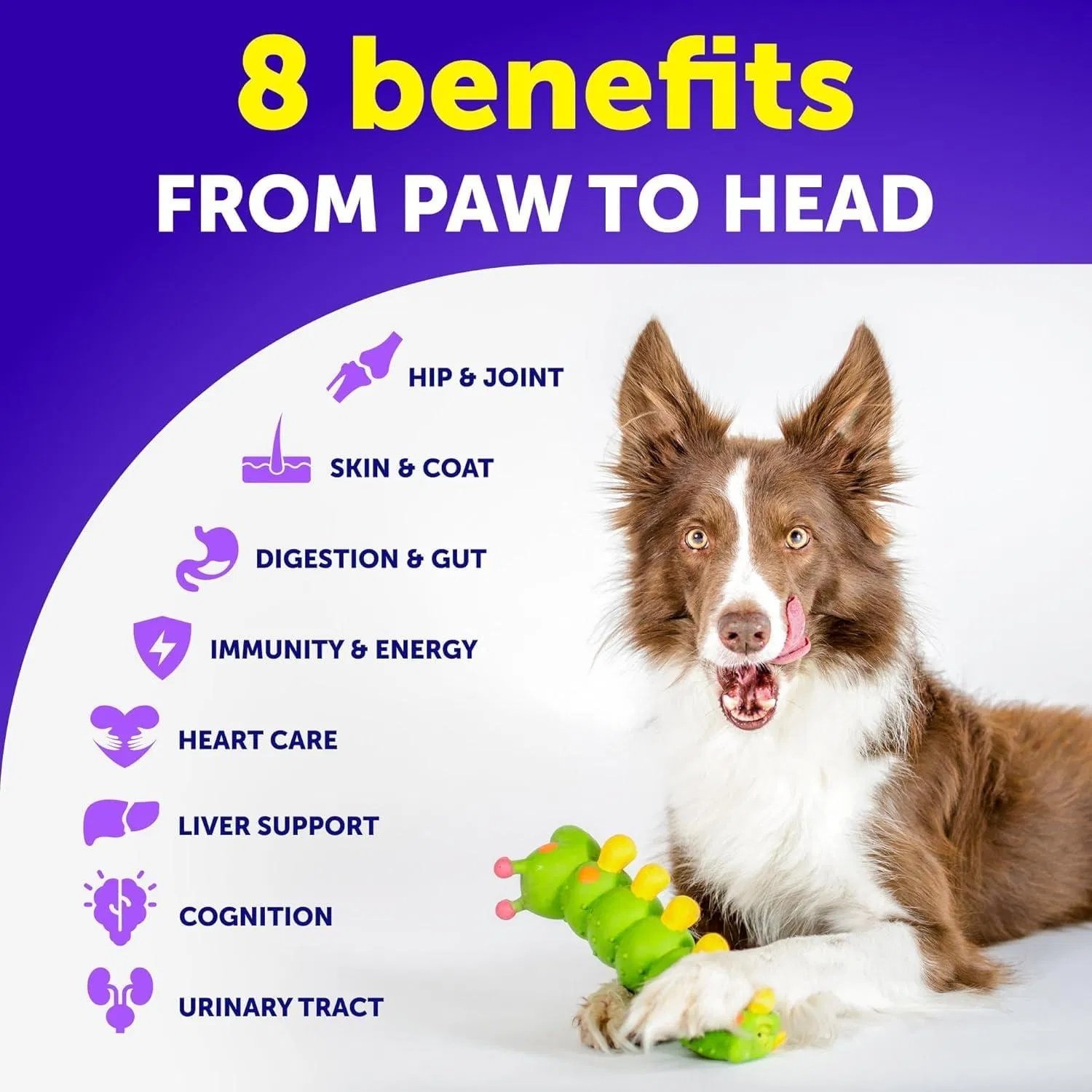 Dog Multivitamin Chewable With Glucosamine 20 In 1 Dog Vitamins And Supplements Senior & Puppy Multivitamin For Dogs Pet Joint Support Health Immunity Mobility Gut Skin 120 Chews - Image 2