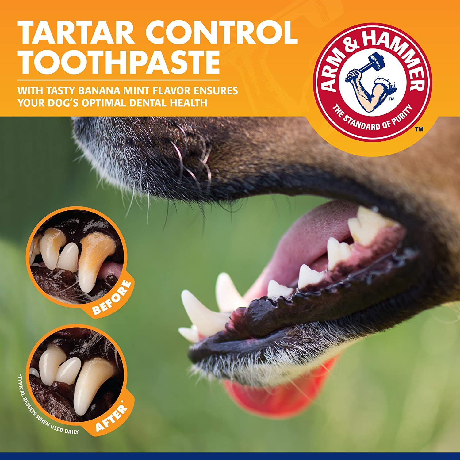 for Pets Tartar Control Dog Dental Care Kit, Banana Mint Flavor Toothpaste with Baking Soda, Double-Sided Toothbrush and Finger Brush Included, 2.5 Oz, 3-Piece - Image 4