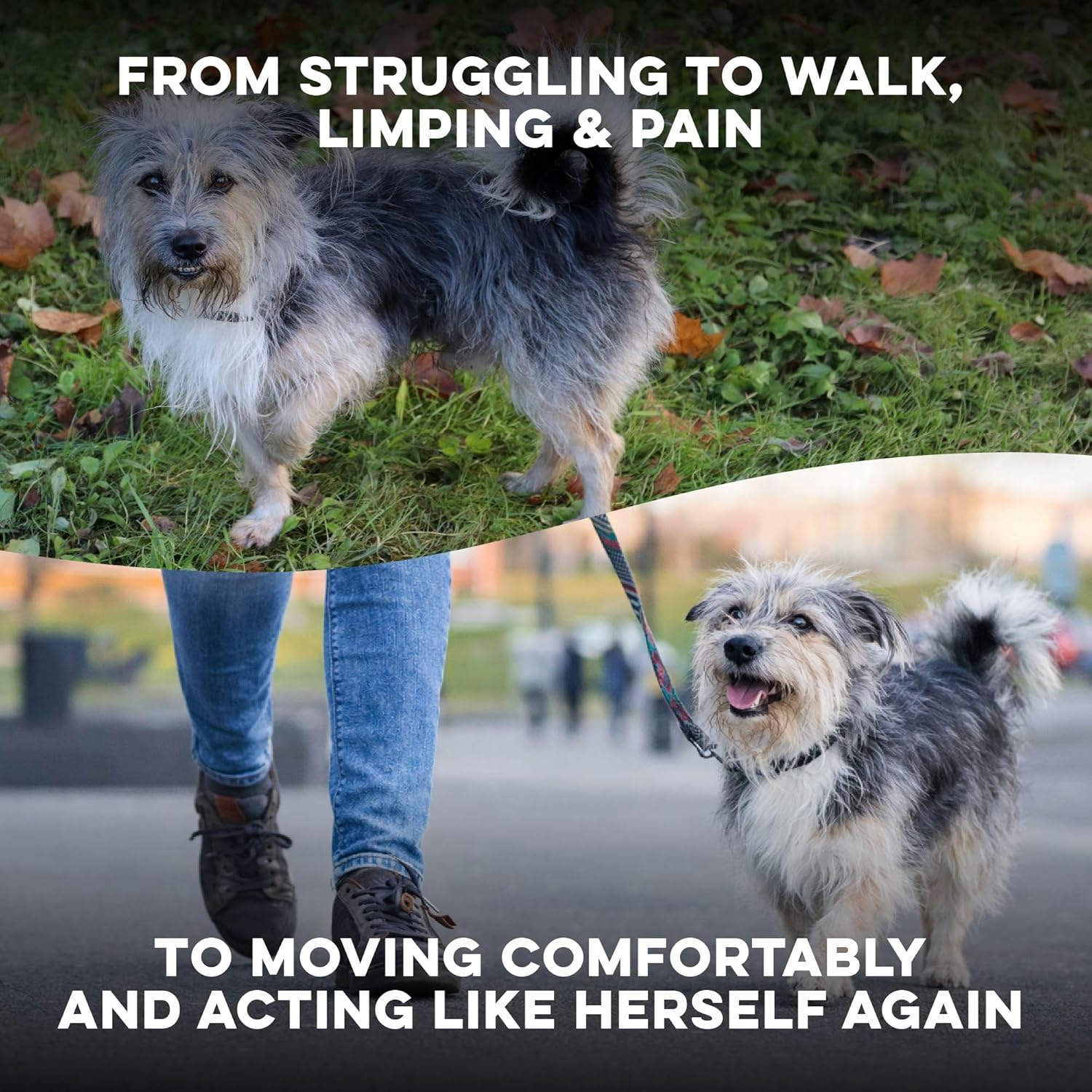 Walk-Easy Cat & Dog Pain Relief & Mobility Aid – Natural Hip & Joint Support for Injured or Senior Pets – Gentle Pain Reliever for Limping and ACL Tears – 400 Tiny Pills - Image 2