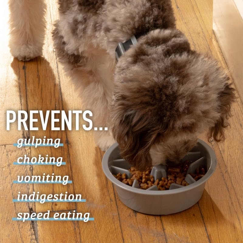 Slow Feeder Dog Bowl (2 Cup) - Puzzle Dog Food Bowl with Feeder Holes, Fits Elevated Pet Feeders, Slow Eating for Large, Medium & Small Sized Breeds - Blue - Image 3