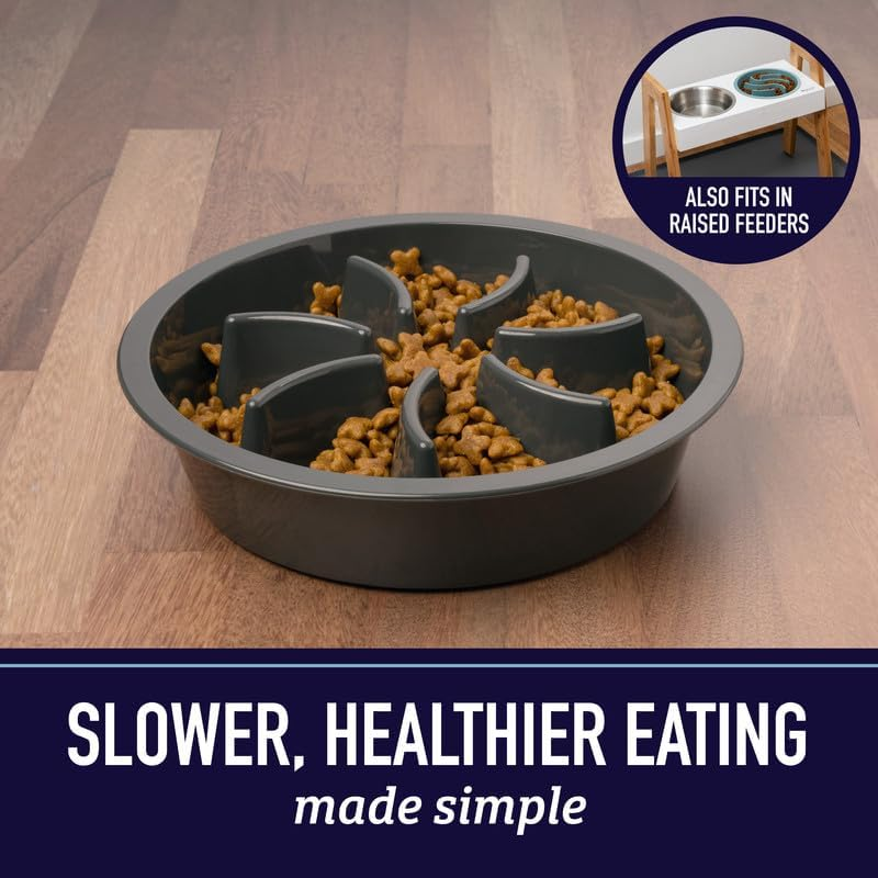 Slow Feeder Dog Bowl (2 Cup) - Puzzle Dog Food Bowl with Feeder Holes, Fits Elevated Pet Feeders, Slow Eating for Large, Medium & Small Sized Breeds - Blue - Image 2